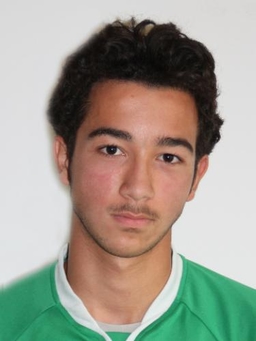 Avatar Bild für Mehmet Carikcioglu