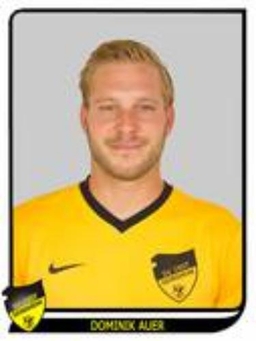 Avatar Bild für Dominik Baumgärtner