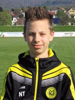 Avatar Bild für Noah Tippelhoffer
