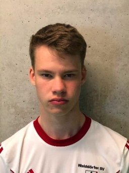 Avatar Bild für Henry Valentin Klindworth