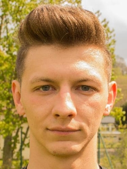 Avatar Bild für Dimitri Gelbert