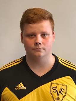 Avatar Bild für Dennis Holm