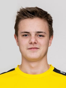 Avatar Bild für Nikos Dallhammer