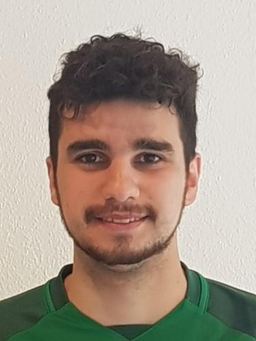 Avatar Bild für Domenico Carbone