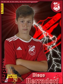 Avatar Bild für Diego Herrndorf