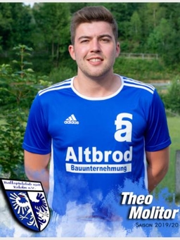 Avatar Bild für Theo Molitor