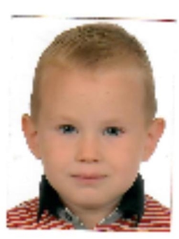 Avatar Bild für Matija Brajkovic