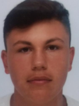 Avatar Bild für Leon Framulari