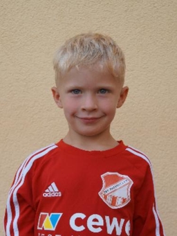 Avatar Bild für Ludwig Wenzel