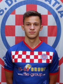 Avatar Bild für Dominik Kalajica