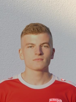 Avatar Bild für Valentino Costabiei