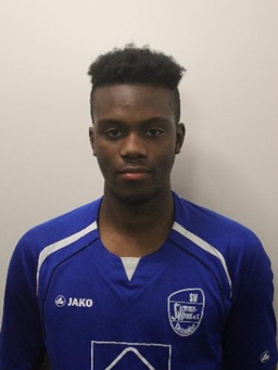 Avatar Bild für Frank Sebastiao Bunga