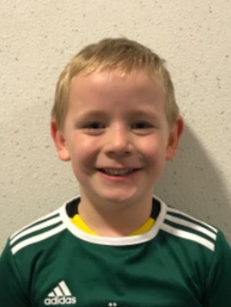 Avatar Bild für Clemens Müller