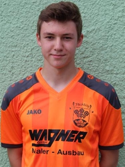 Avatar Bild für Tom Hallbauer