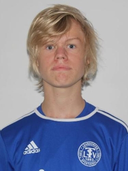 Avatar Bild für Henri Lenard Dammermann