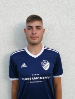 Avatar Bild für Pirmin Schwab
