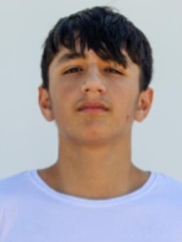 Avatar Bild für Emanuele Liccardi