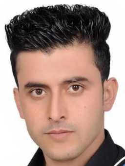 Avatar Bild für Mustafa Mohammadi