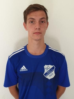 Avatar Bild für Nico Robert Hellenberg