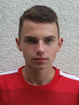 Avatar Bild für Luzian Strobl