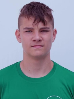 Avatar Bild für Henry Louis Jülich
