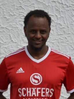 Avatar Bild für Yohannes Teklemariam Weldetinsae