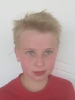 Avatar Bild für Lennart Ernst Söhnel