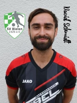 Avatar Bild für David Schmidt