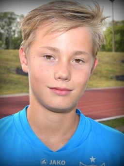 Avatar Bild für Hugo Förster