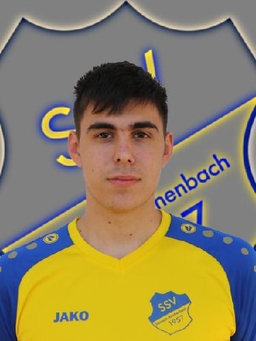 Avatar Bild für Dominik Schreiner