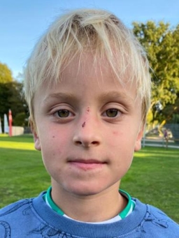 Avatar Bild für Theo Hüttmann