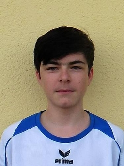 Avatar Bild für Miro Gerstenberg