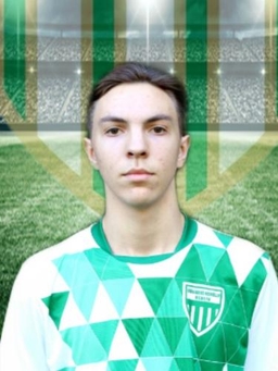 Avatar Bild für Dmitro Lisak