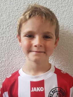 Avatar Bild für Henry Meißner