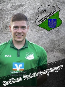 Avatar Bild für Balthes Reichensperger