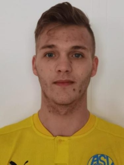 Avatar Bild für Lion Dario Boll