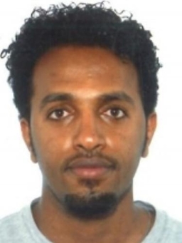 Avatar Bild für Meron Amanuel Abraha