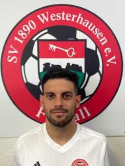 Avatar Bild für Marcelo Henrique Franceschi