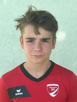 Avatar Bild für Nils Peterson