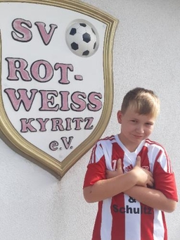 Avatar Bild für Ron Roland Trebeß