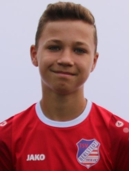 Avatar Bild für Maxim Braungart