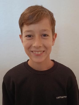 Avatar Bild für Henri Leis