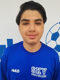 Avatar Bild für Mossadeg Kakar