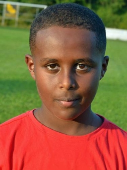Avatar Bild für Amanuel A. Tesfamichael
