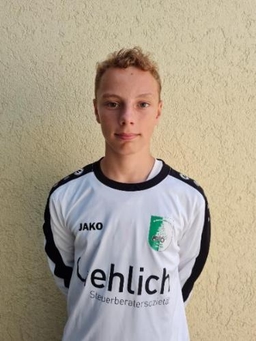 Avatar Bild für Luis Josef Haunstein