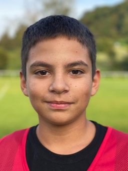 Avatar Bild für Utku Gülcehre
