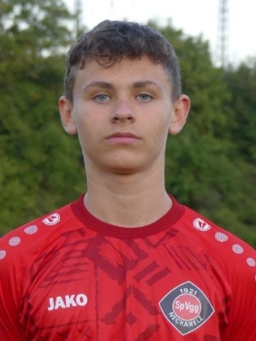 Avatar Bild für Enrico Rignanese