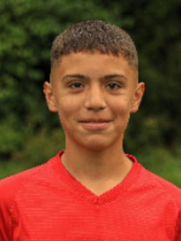 Avatar Bild für Arijan Krasniqi