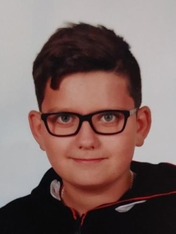 Avatar Bild für Oktawian Stradowski