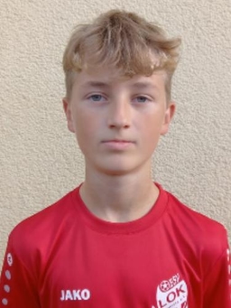 Avatar Bild für Luis Nöther